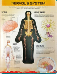 Inside Out Human Body