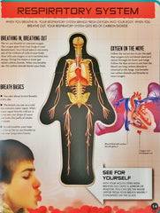 Inside Out Human Body