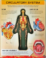 Inside Out Human Body