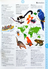 Usborne Illustrated English Dictionary