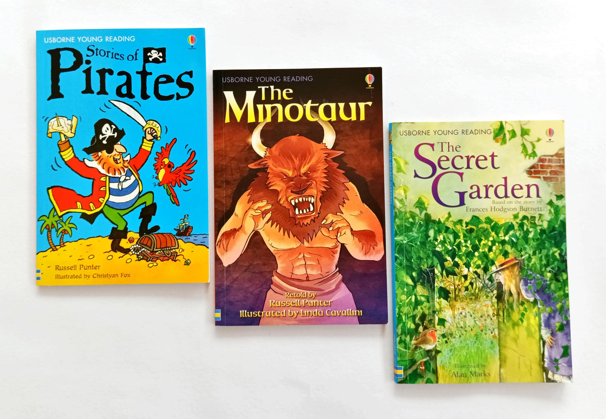 Usborne Young Reading Set 3 (3 Books)