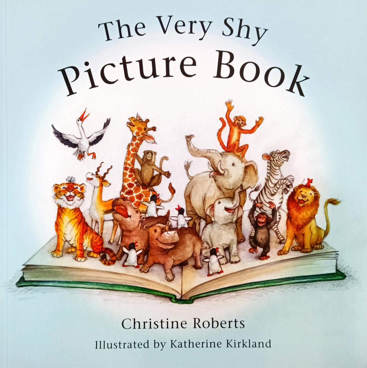 The very Shy Picture Book