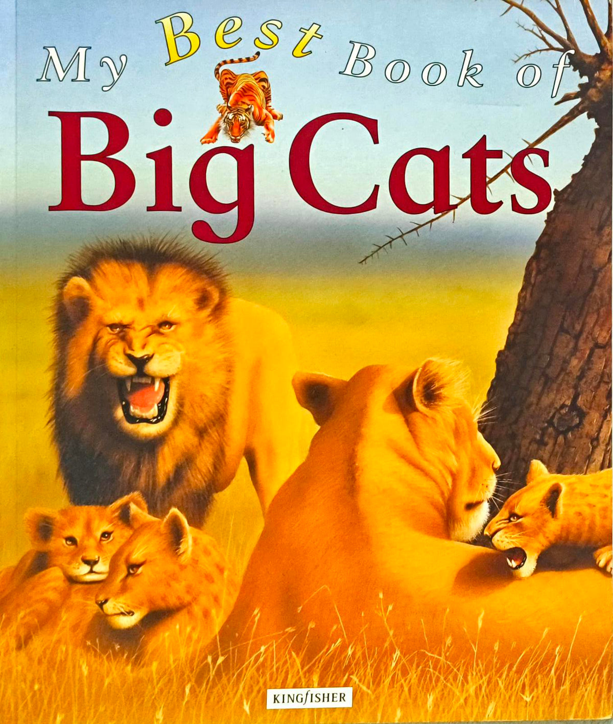 My Best Book of Big Cats