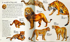 My Best Book of Big Cats