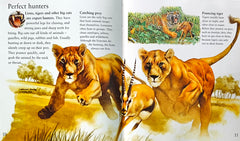 My Best Book of Big Cats