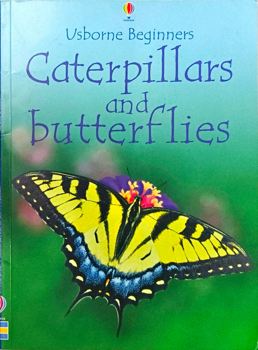 Usborne Caterpillars and Butterflies