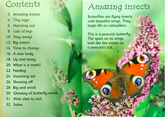 Usborne Caterpillars and Butterflies