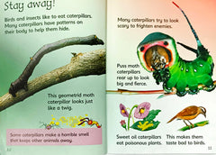 Usborne Caterpillars and Butterflies