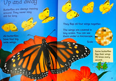 Usborne Caterpillars and Butterflies