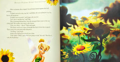 Disney Fairies Storybook Collection